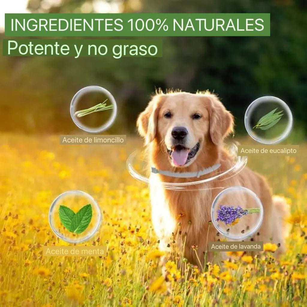 🐶Collar Antipulgas y Garrapatas 🛡️ (Protección Natural 8 Meses)