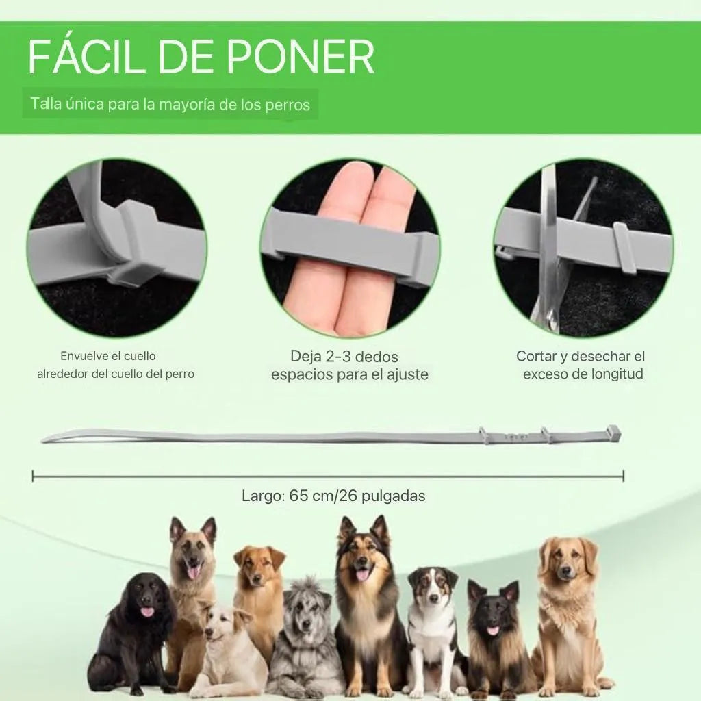 🐶Collar Antipulgas y Garrapatas 🛡️ (Protección Natural 8 Meses)