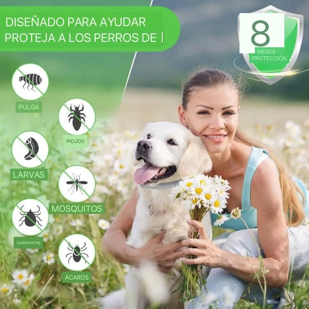 🐶Collar Antipulgas y Garrapatas 🛡️ (Protección Natural 8 Meses)