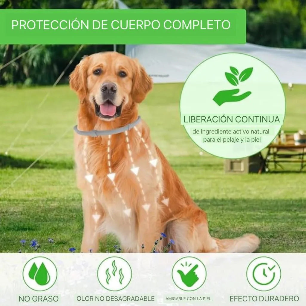 🐶Collar Antipulgas y Garrapatas 🛡️ (Protección Natural 8 Meses)